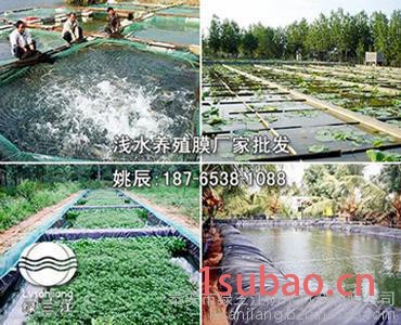 凯里防渗土工膜_大棚膜图5