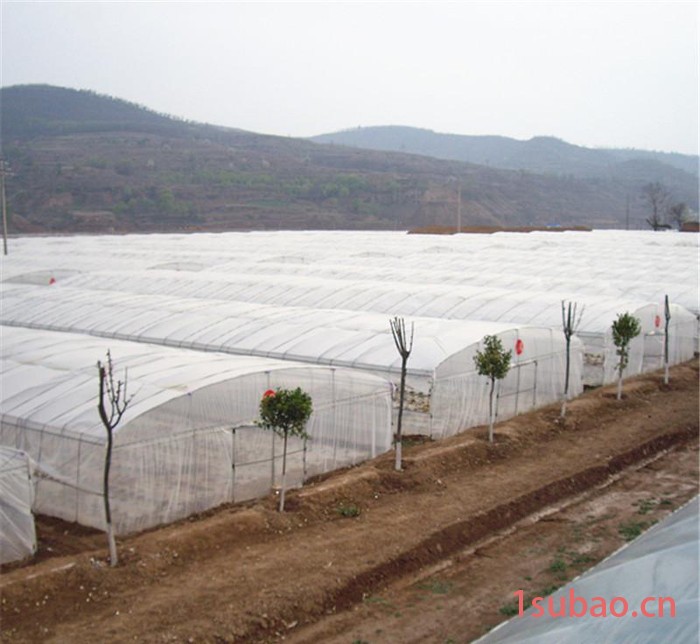 塑料薄膜 农用 透明大棚 华丰牌葡萄专用大棚膜地膜图2