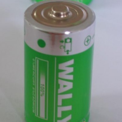 电池，碱性2号，C型干电池，手电筒专用碱性电池