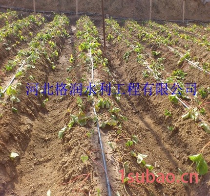 河南大棚膜下蔬菜滴灌管 滴灌管批发/采购图6