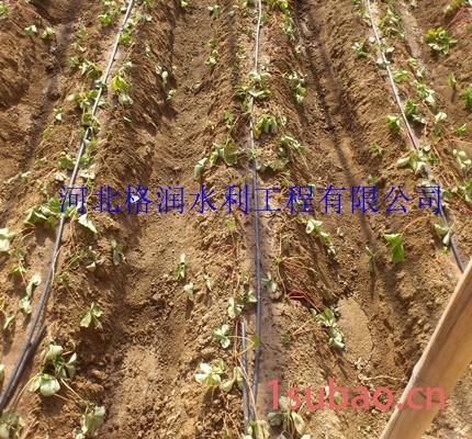 河南大棚膜下蔬菜滴灌管 滴灌管批发/采购图5