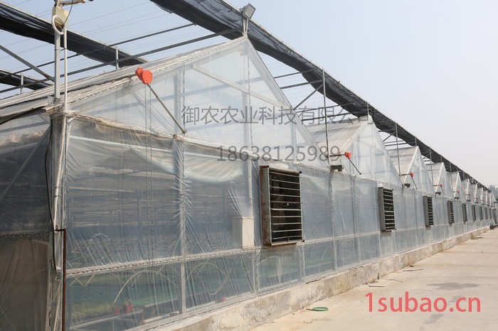 御农农业河南温室大棚厂家量大批发结实耐用美观长寿大棚膜图4