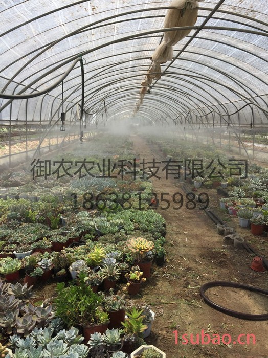 御农农业河南温室大棚厂家量大批发结实耐用美观长寿大棚膜图2