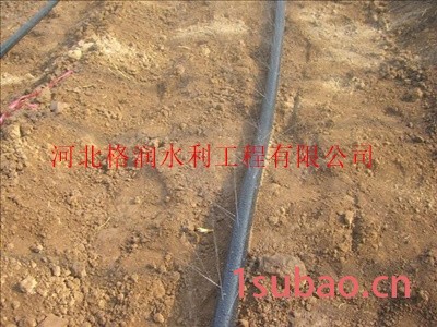 巫山县官阳镇大棚膜下微喷带|微喷带厂家图2