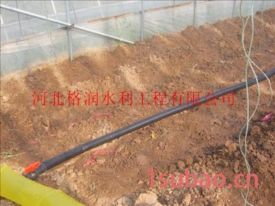 巫山县官阳镇大棚膜下微喷带|微喷带厂家图3