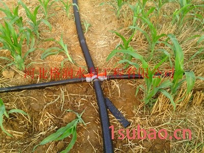巫山县官阳镇大棚膜下微喷带|微喷带厂家图7