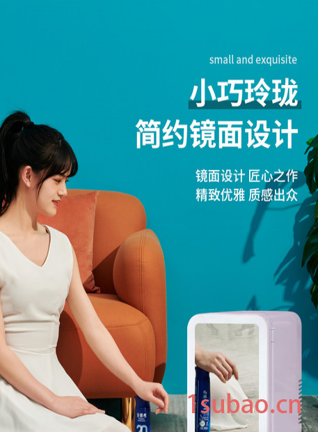 深圳安南PA6-L 车载箱 车载冰箱图5