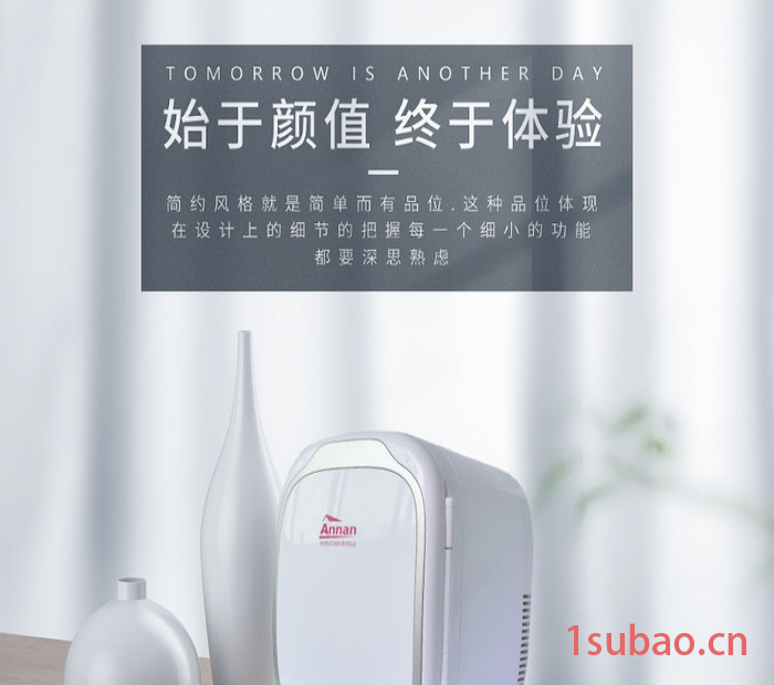 Annan安南PA-6L 迷你小冰箱电子冷暖箱化妆品小冰箱车家两用学生宿舍寝室制冷冷藏水果广东车载冰箱工厂厂家安南冰箱图3