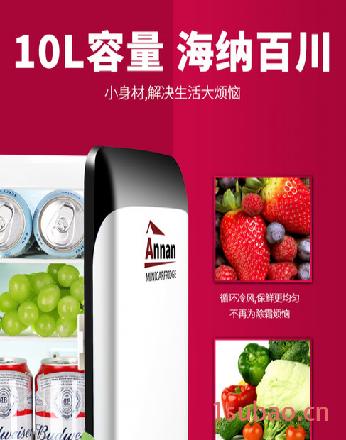 安南PA-10WL 迷你车载冰箱 冷暖可调 车家两用 宿舍 必用品图2