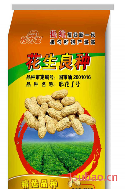 供应 文登子艺编织    食品袋图3