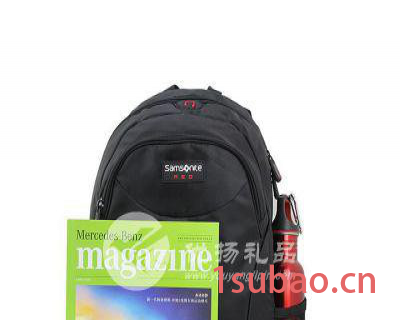 新秀丽时尚双肩电脑包 新款电脑包 双肩包 商场同款 商务旅行两用背包 大容量