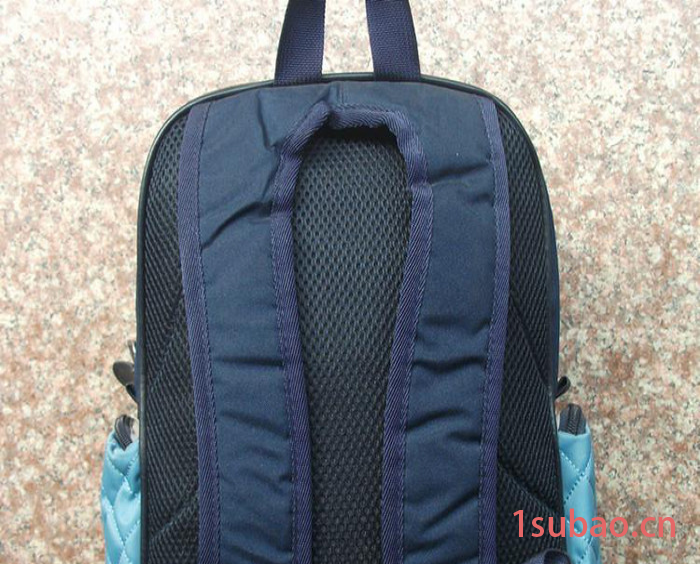 【生产加工】OEM品牌外贸电脑包礼品背包 书包 登山包 定做批发图2
