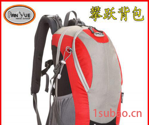 厂家生产  广东花都电脑包  腰包   背包百科图2
