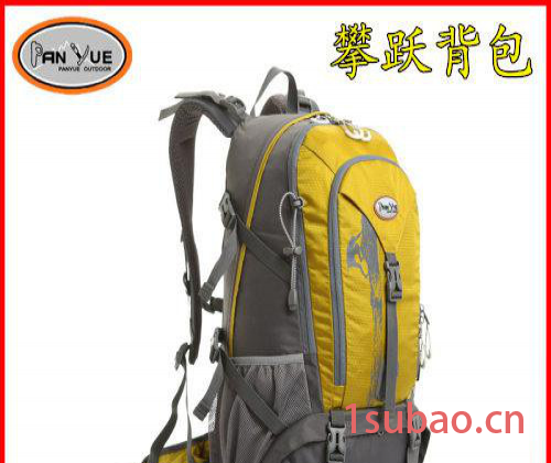 批发 广州电脑包 单反包 背包厂家制作图2