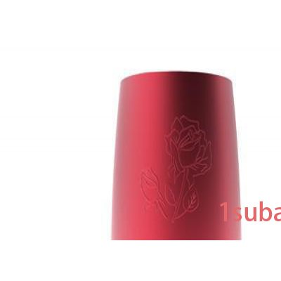 柏克品牌 BT-101 无线蓝牙音箱 金属4.0工艺蓝牙音箱