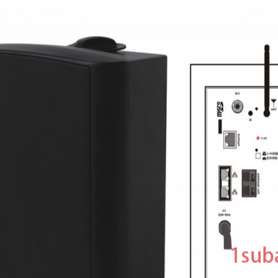 SOUNDZONE TP1619B IP网络有源塑料蓝牙音箱