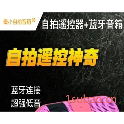 迷你版小药丸无线蓝牙音箱 胶囊插卡音响 蓝牙自拍功能 免提通话