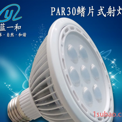 2016蓝一和** 新款PAR30-X系列射灯套件 LED鳍片射灯外壳 7W植物灯套件 12WPAR灯灯具配件