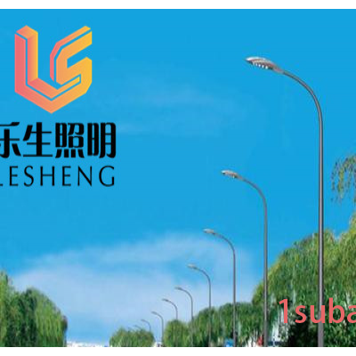 乐生照明led 市电LED路灯灯杆厂家