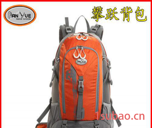 生产  广州花都相机包  登山包   背包代加工图2