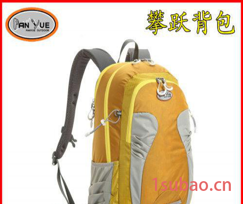 供应  广东狮岭登山包  相机包   背包官方网址图3