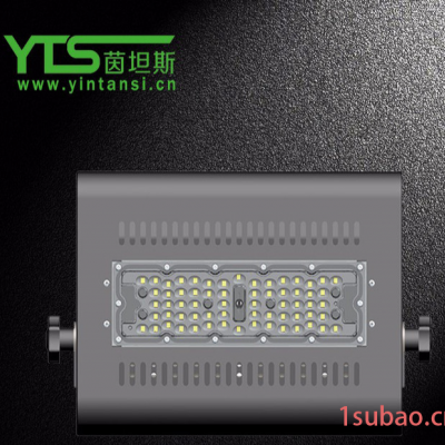 led投光灯厂家定制 30w40w50w投光灯 大功率户外桥梁景观亮化led投光灯 茵坦斯