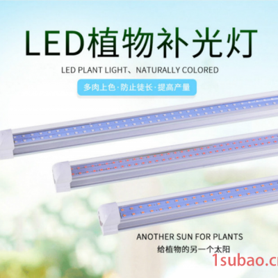 LED植物灯-LED植物生长灯-t8植物生长灯管0.6米9W植物灯管18w双排植物灯管蓝莓补光灯生长灯
