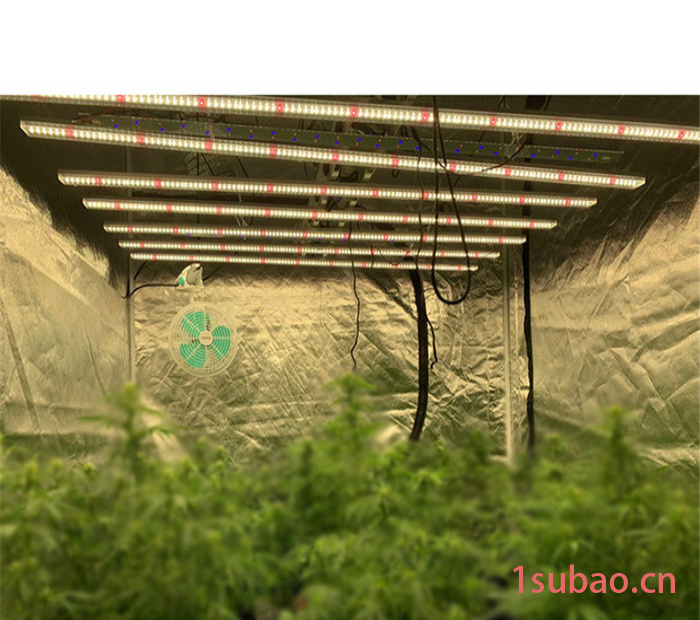 led植物灯厂家供应400W药材植物灯 药材补光灯 药材生长灯图6