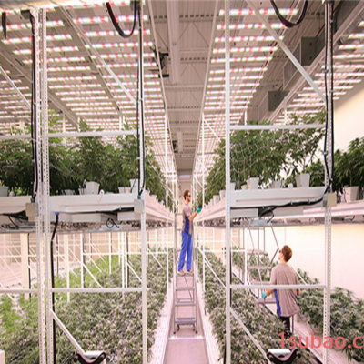 led植物灯厂家供应400W药材植物灯 药材补光灯 药材生长灯