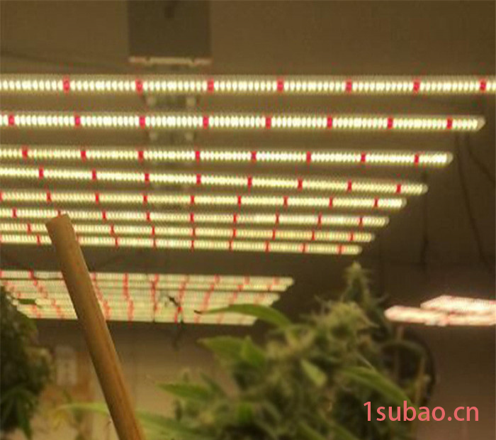 led植物灯厂家供应400W药材植物灯 药材补光灯 药材生长灯图5
