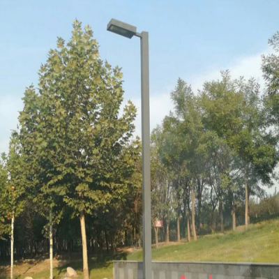 大妙光供应专业的路灯 led路灯 云南太阳能路灯 疝气路灯生产厂家 8米路灯
