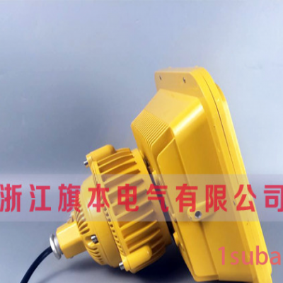 加气站LED防爆灯具40w,化工厂LED防爆灯80w,LED防爆灯具70w