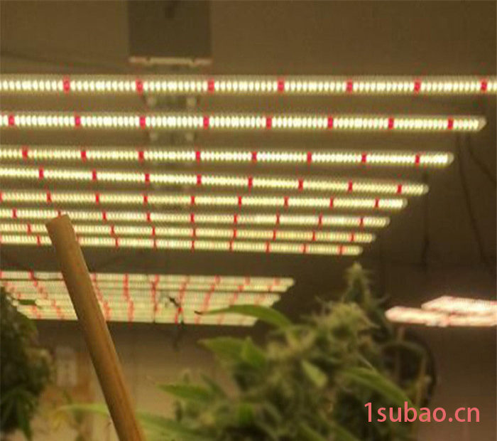 led植物灯厂家供应大棚600W八爪鱼植物灯大棚植物灯 温室植物灯