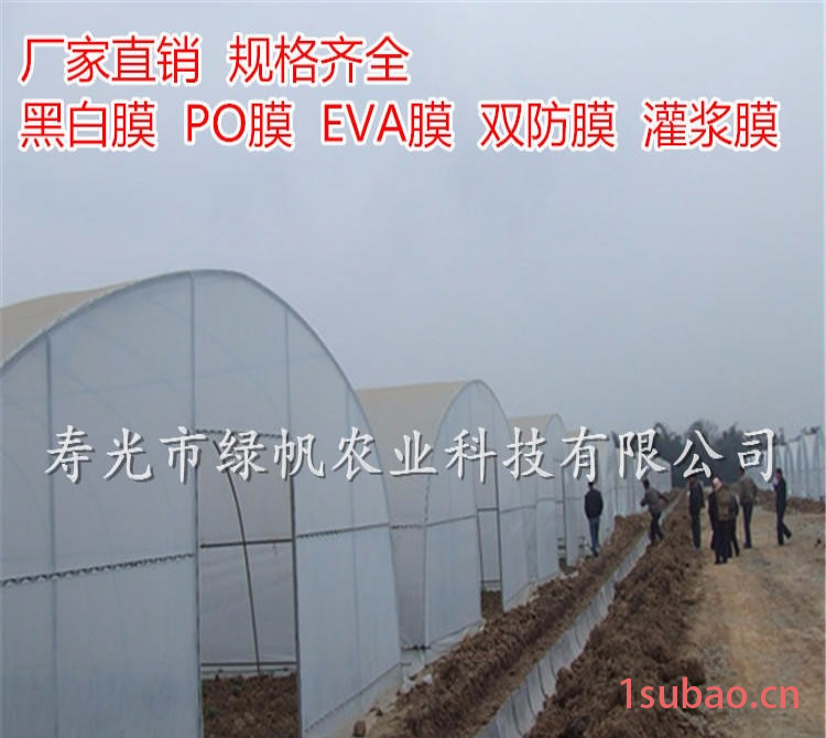 蔬菜大棚膜 8丝双防膜 无滴膜 灌浆膜 长寿膜 农用薄膜 厂家直销图3