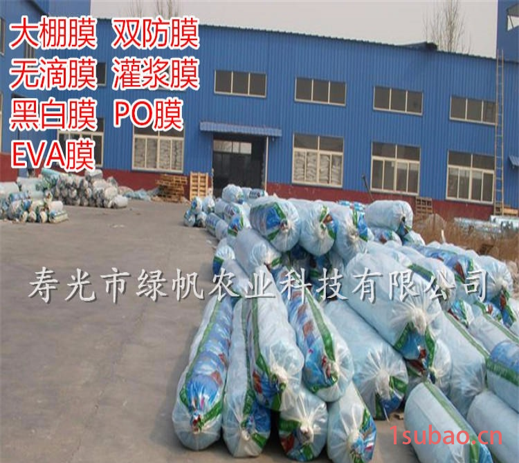 蔬菜大棚膜 8丝双防膜 无滴膜 灌浆膜 长寿膜 农用薄膜 厂家直销图2