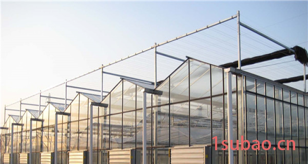 温室厂家实惠的文洛式玻璃温室价格 玻璃温室工程
