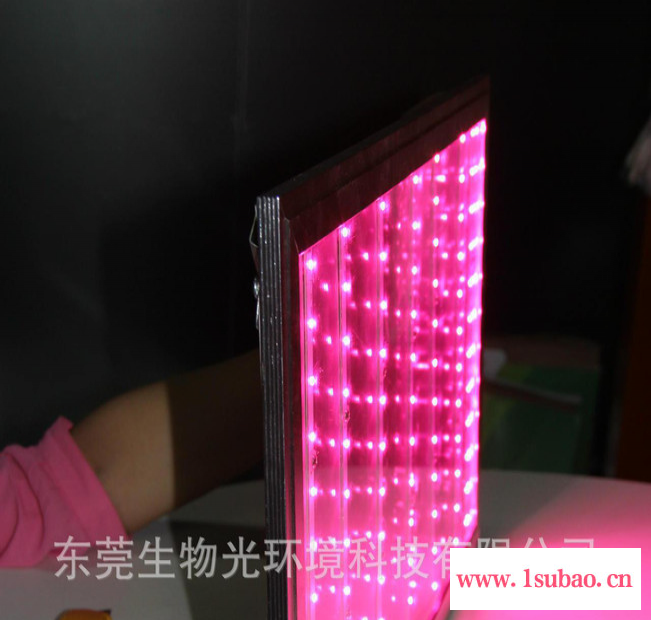 浙江厂家销售方形面板灯/LED石斛补光生长灯/LED平板灯/防水防潮图2