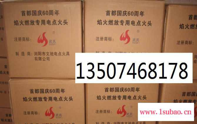 专业老厂生产各种电点火头 电火柴, 电点火器 电子点火头 电发火头图7
