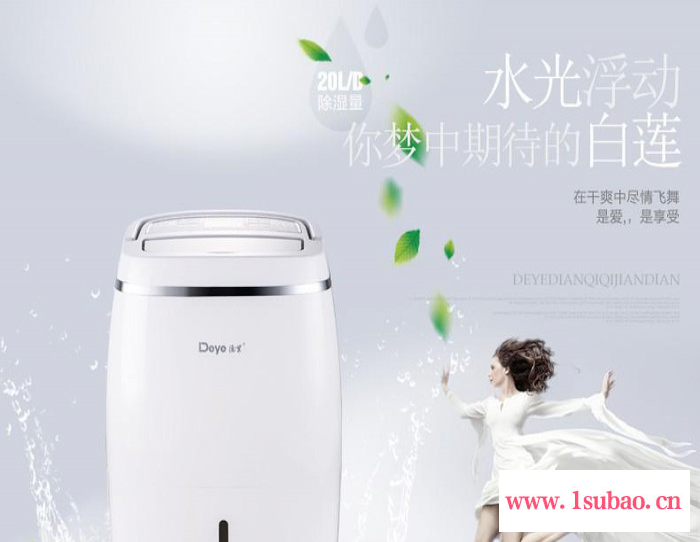 德业家用除湿机 抽湿机家用超静音 地下室抽湿器DYD-F20C3图4