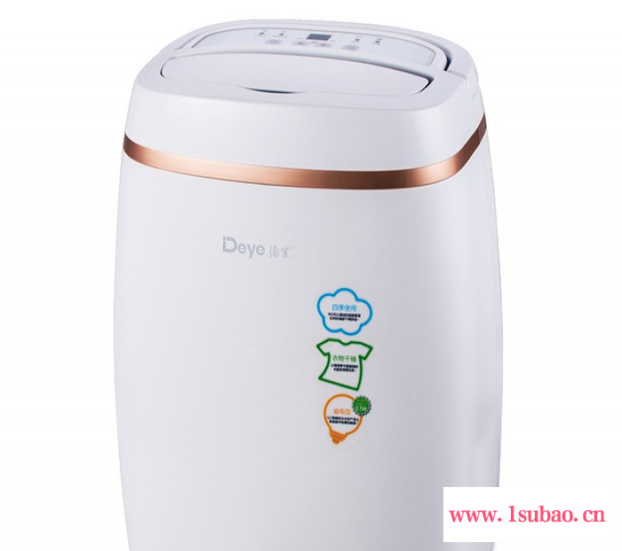 德业（Deye）除湿机/抽湿机 除湿量12升/天 静音38分贝 家用静音吸湿器地下室干衣净化 DYD-E12A3图2