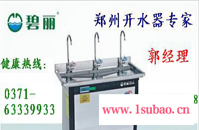 饮水机双聚能步进式开水器节能郑州电开水器河南碧丽总代理 郑州饮水机图2