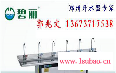 郑州节能开水器报价碧丽饮水机步进式电开水器河南总代理 郑州饮水机图2
