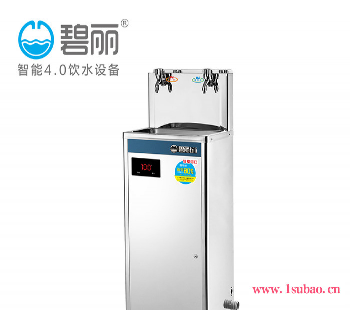 学校幼儿园过滤碧丽直饮机50人双温水净水器医院工厂饮水机JO-2E茶水间直饮水车间直饮机图4