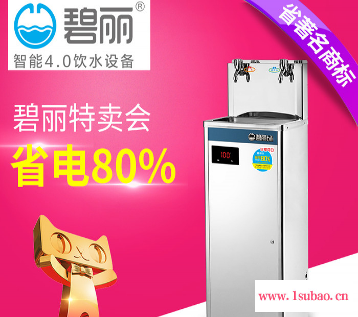 学校幼儿园过滤碧丽直饮机50人双温水净水器医院工厂饮水机JO-2E茶水间直饮水车间直饮机图3