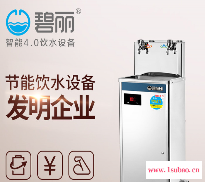 学校幼儿园过滤碧丽直饮机50人双温水净水器医院工厂饮水机JO-2E茶水间直饮水车间直饮机图2