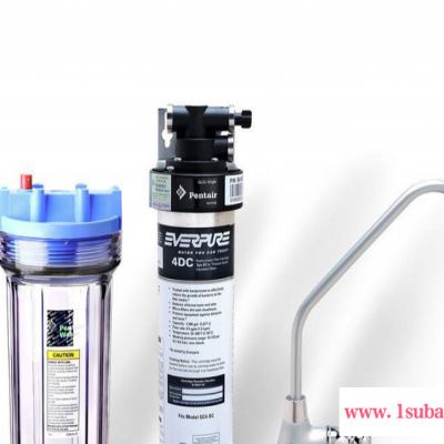 滨特尔爱惠浦净水器4DC 直饮水机 家用净水机泡茶 原装**