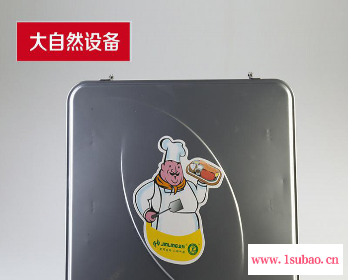 金羚 强力抽油烟扇 排烟扇 节能换气扇 厨房专用FA-2图3