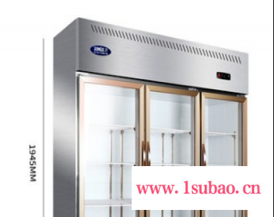 聊城星星1300升三门冰箱 立式商用展示柜 大容量单温冷藏冰柜 保鲜柜