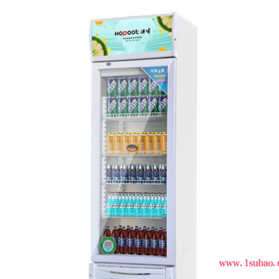 浩博立式冷藏展示柜 饮料柜保鲜柜 商用单门冰柜啤酒饮料柜