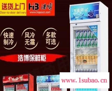 浩博展示柜 冷藏立式饮料柜 保鲜柜 商用单门双门冰柜 啤酒饮料冷藏柜图1